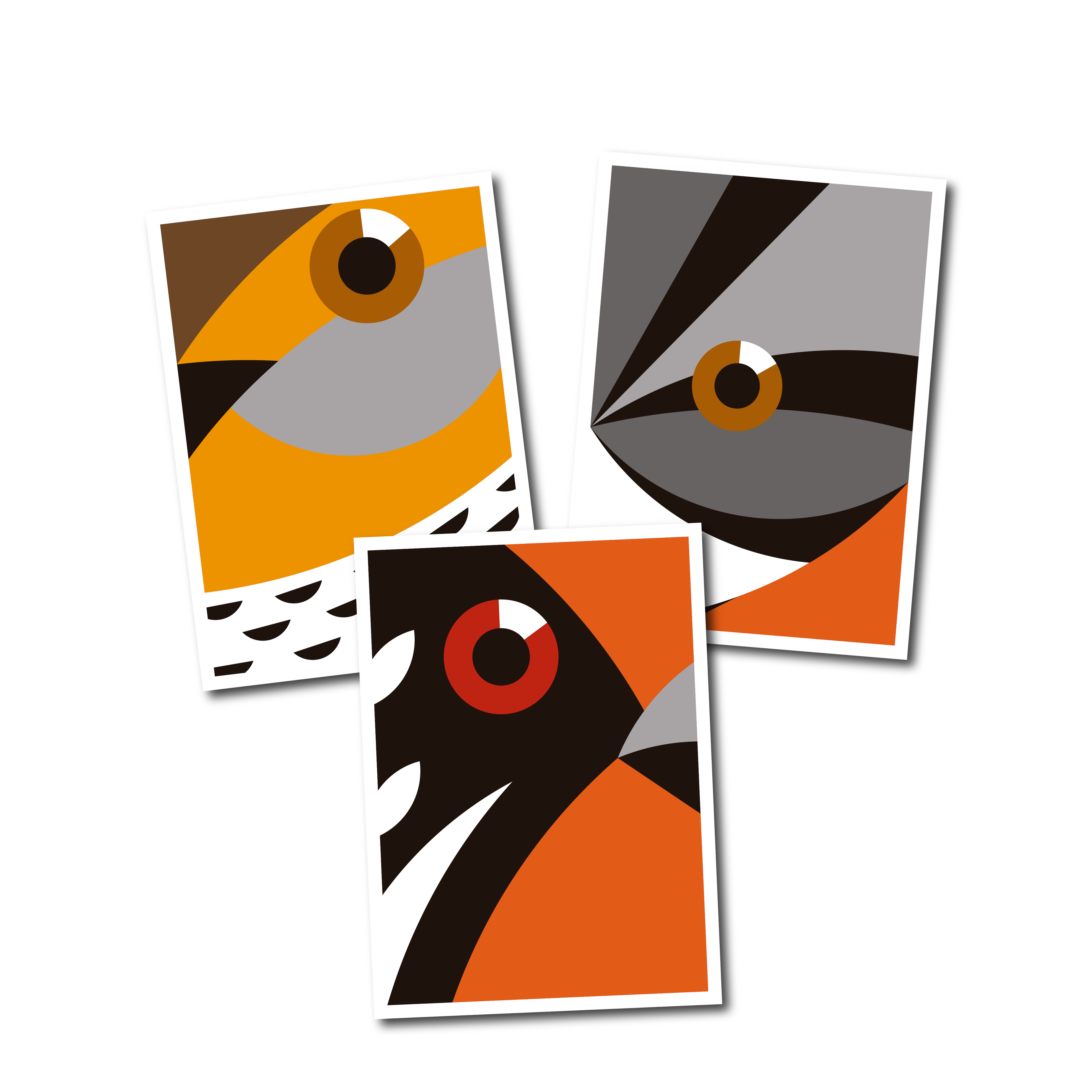 Serie Abstractos / Aves de Chile / Láminas chicas