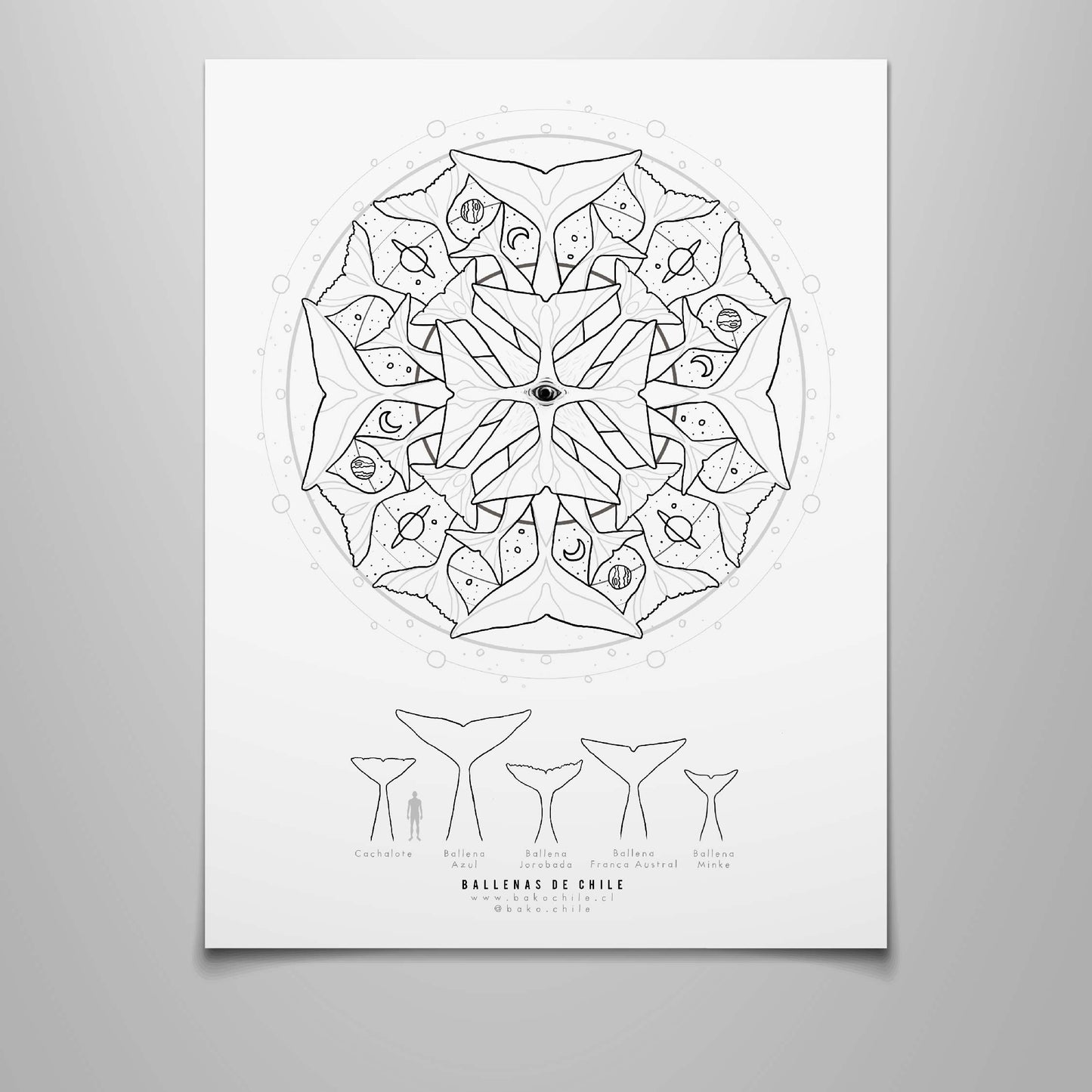 Mandala Ballenas de Chile