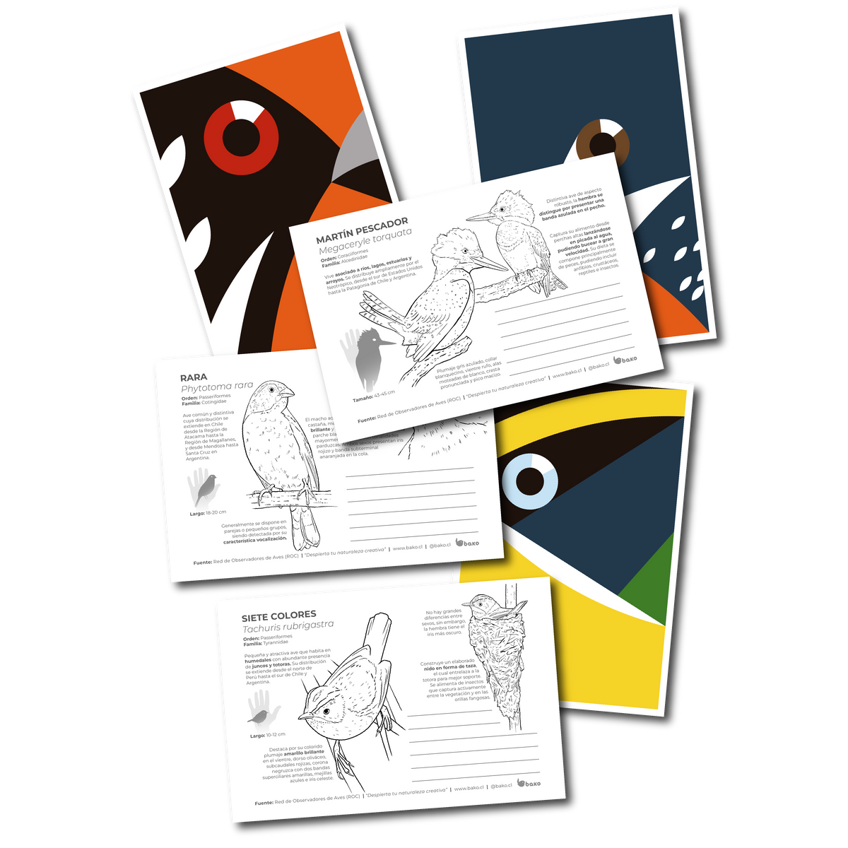 Postales BAKO / Pack I