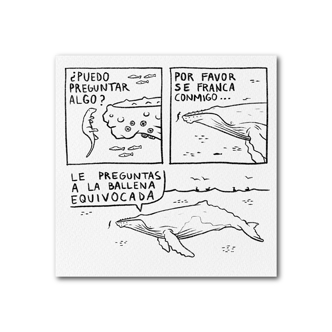 Gungo + Ballena Jorobada