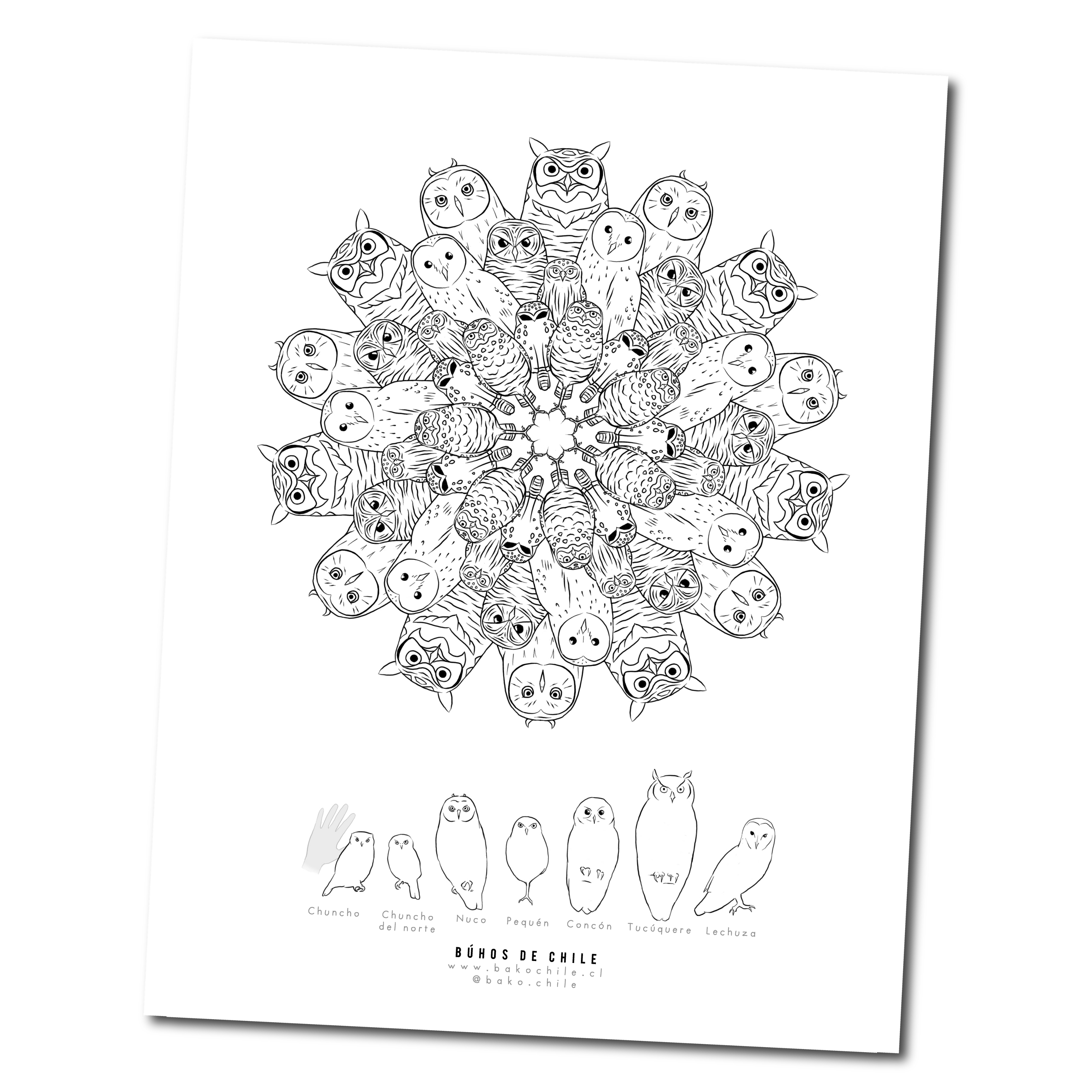 Mandala Búhos de Chile