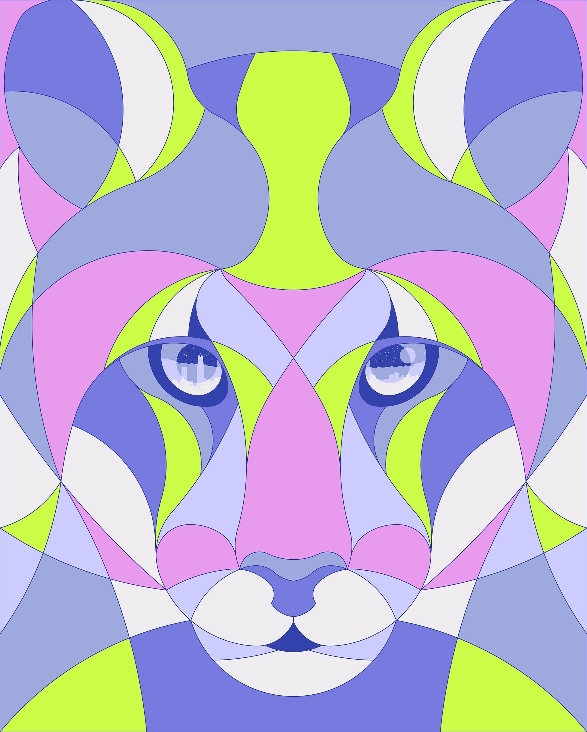 Afiche Festival Santiago Wild