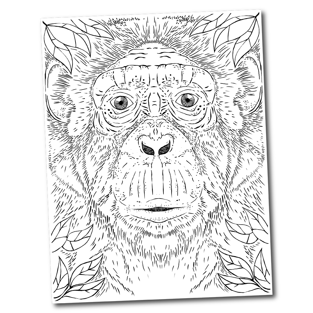 Coloreable Chimpancé