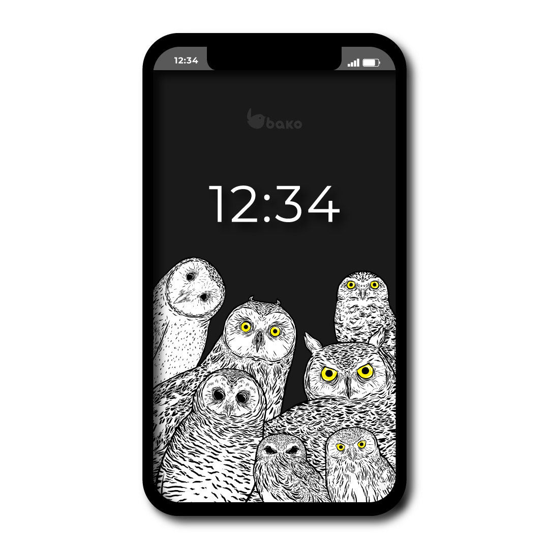 Fondos de pantalla BAKO