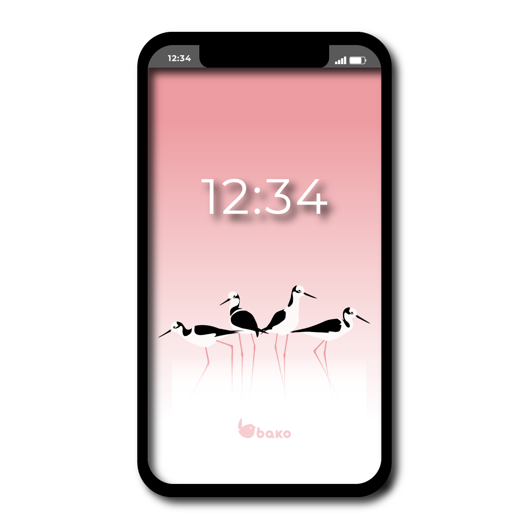 Fondos de pantalla BAKO