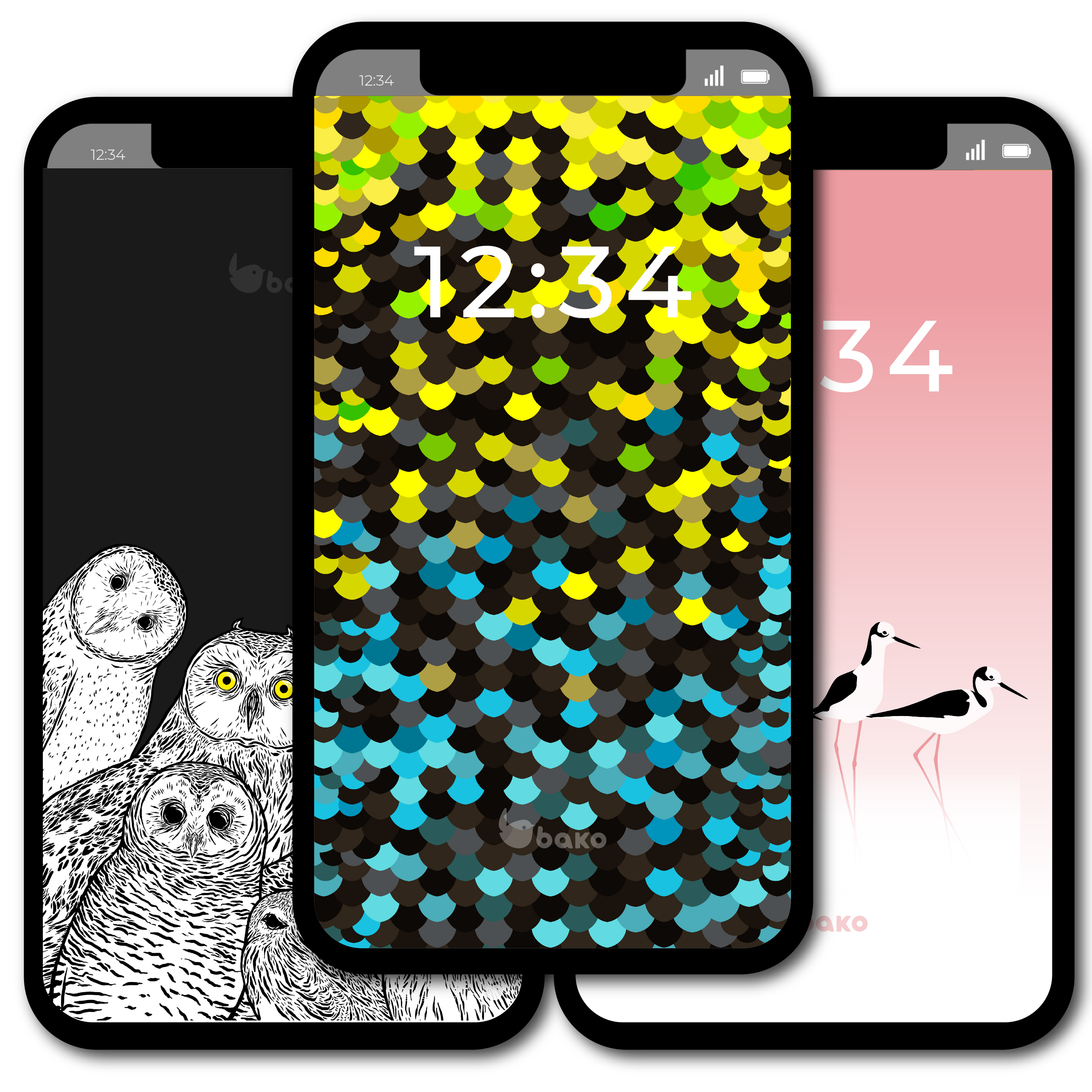 Fondos de pantalla BAKO