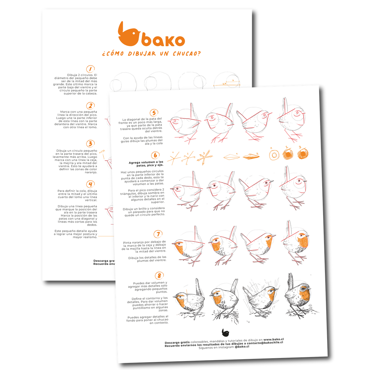 Tutorial Dibujo 1: Chucao