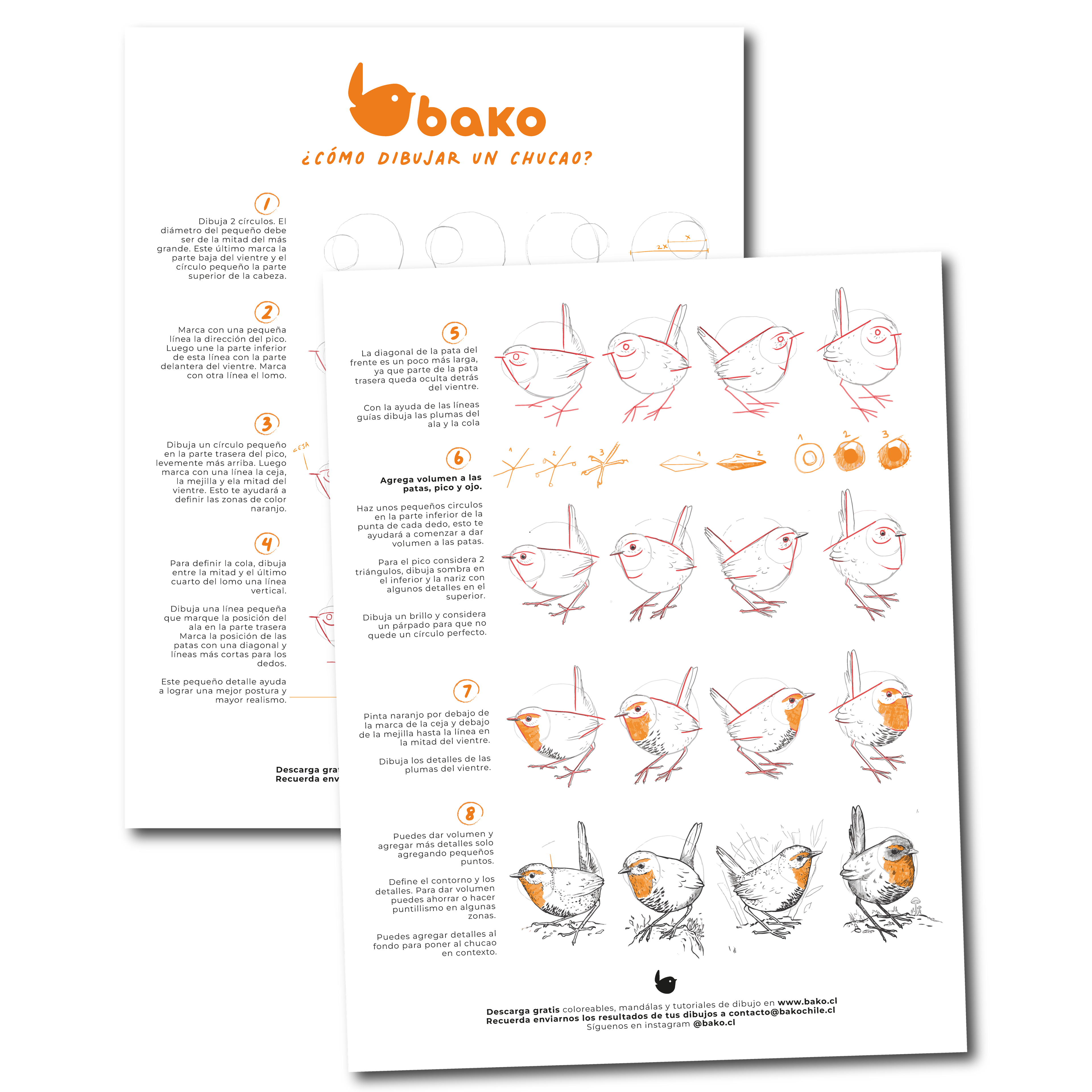 Tutorial Dibujo 1: Chucao