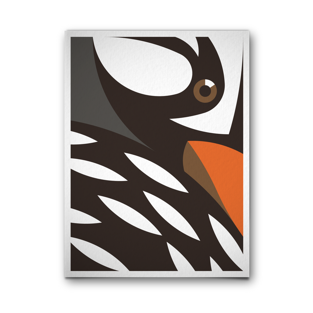 Pato cortacorrientes (macho)