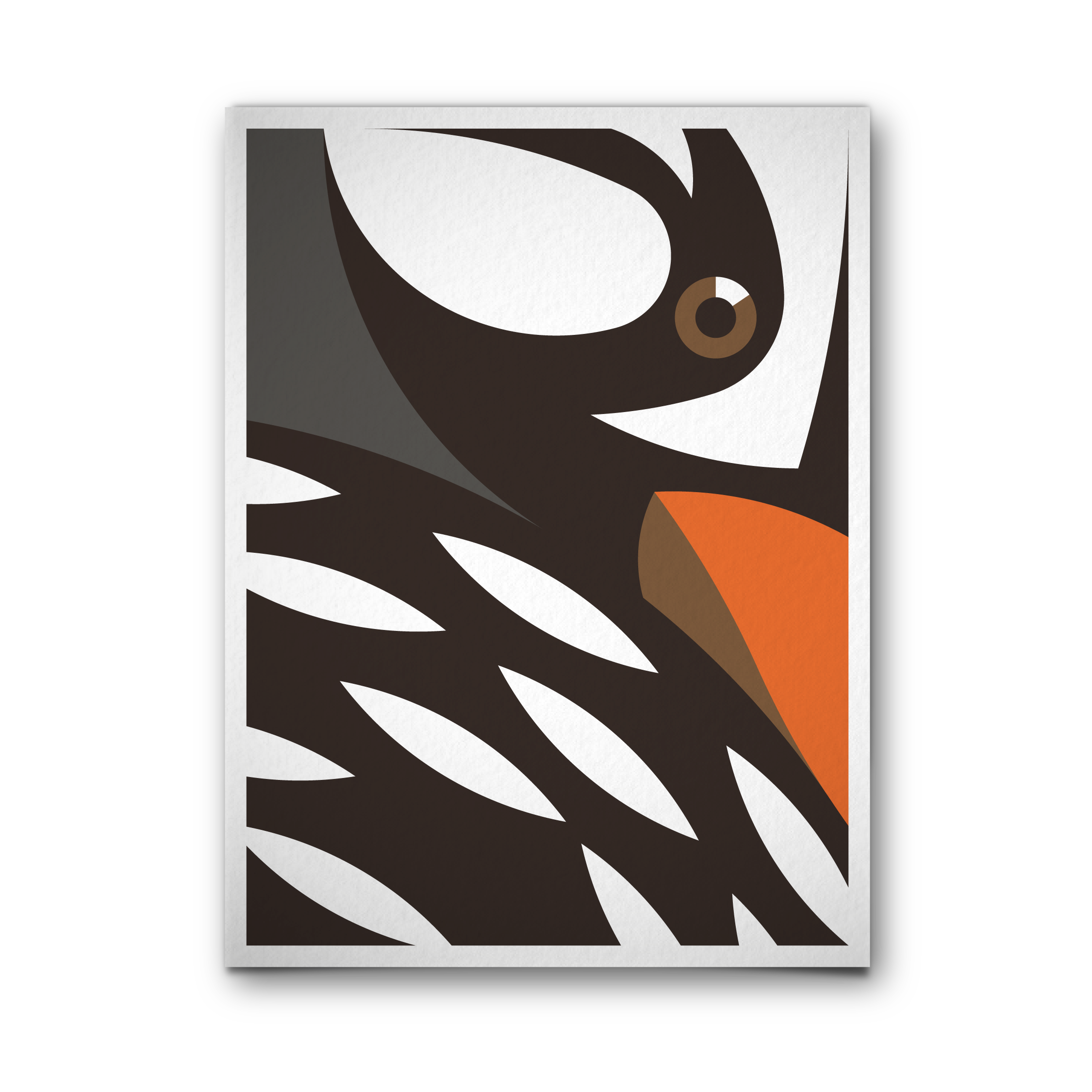 Pato cortacorrientes (macho)