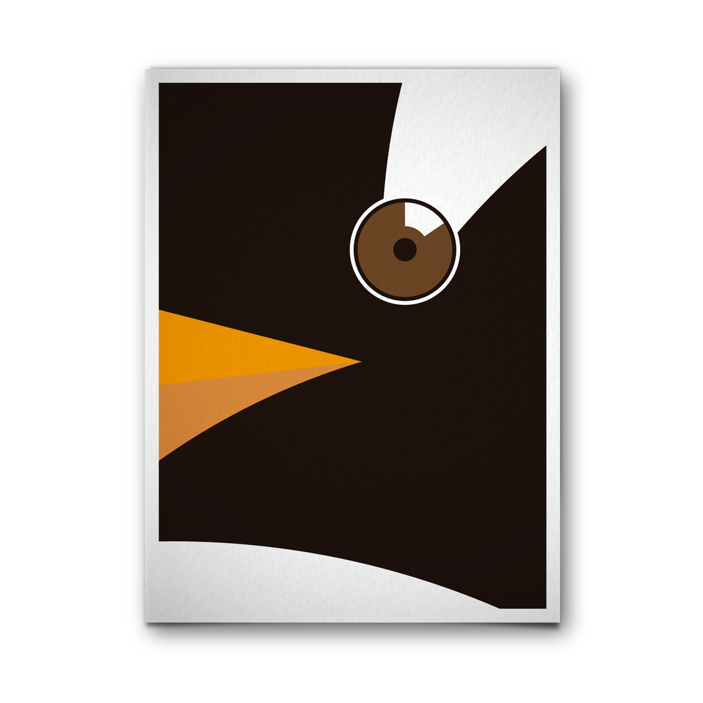 PINGÜINO PAPÚA