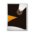 PINGÜINO PAPÚA