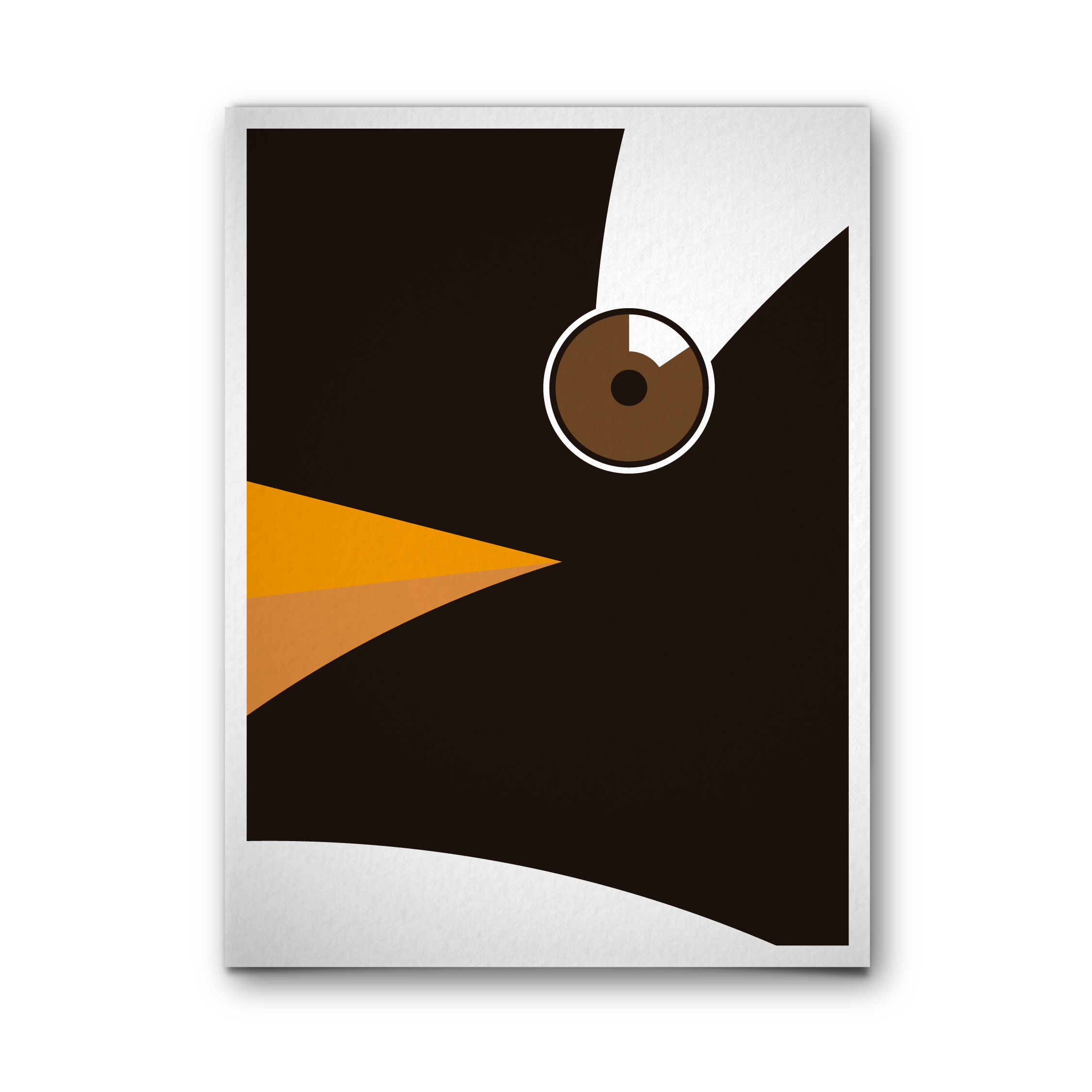 PINGÜINO PAPÚA