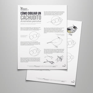 Tutorial Dibujo 2: Cachudito