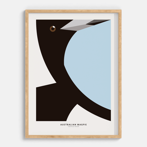 Australian Magpie