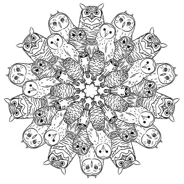 Mandala Búhos de Chile